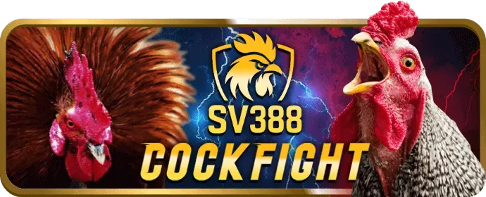 Hoàn trả hàng tuần ex88